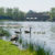 Inn on the Lake - Image 4