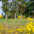 Bedford & County Golf Club - Image 2
