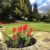 Cleatham Hall Hotel - Image 2