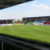 Harlequins - Image 4