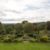 Glenfall House - Image 4