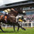 Carlisle Racecourse - Image 4