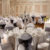 Mercure Livingston Hotel - Image 4