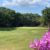 Drift Golf Club - Image 4