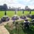 Whitton Park Sports Club - Image 4