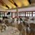 Trailfinders Sports Club - Image 2