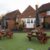 The Greyhound, Ash - Image 4